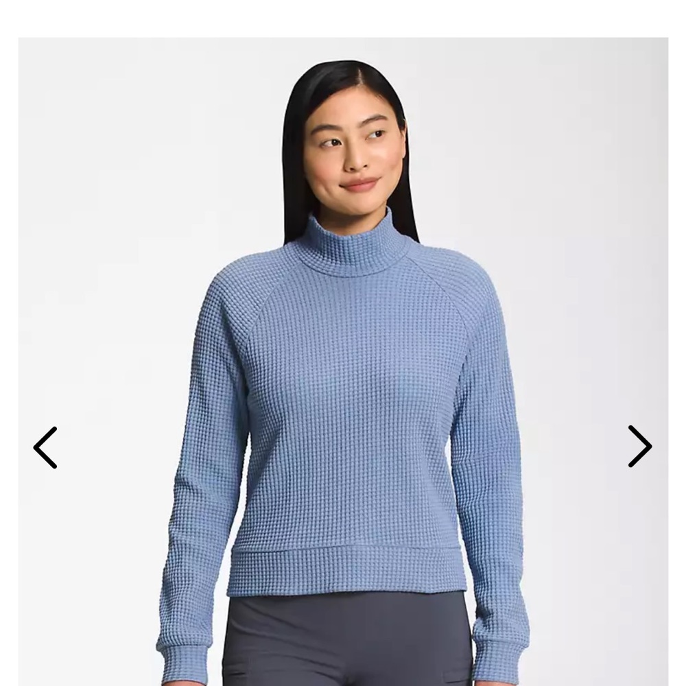 North face Chabot top